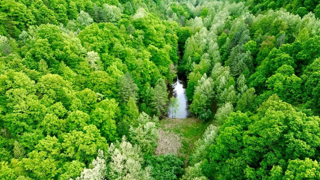 379A Highway 1690 Louisa KY 41230