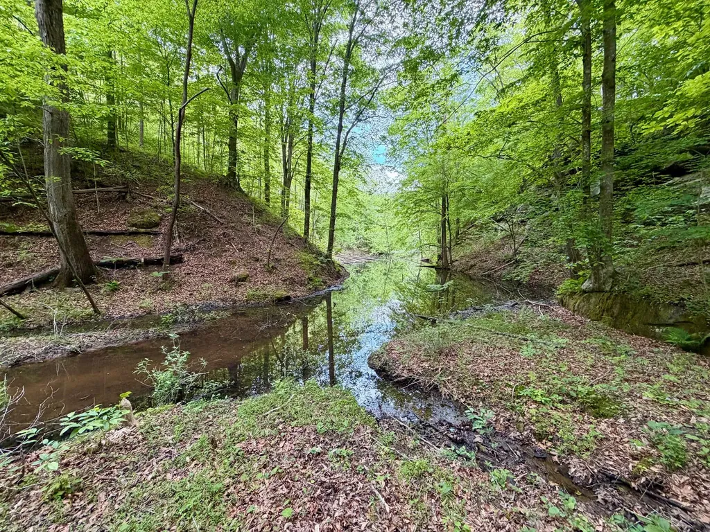 379A Highway 1690 Louisa KY 41230