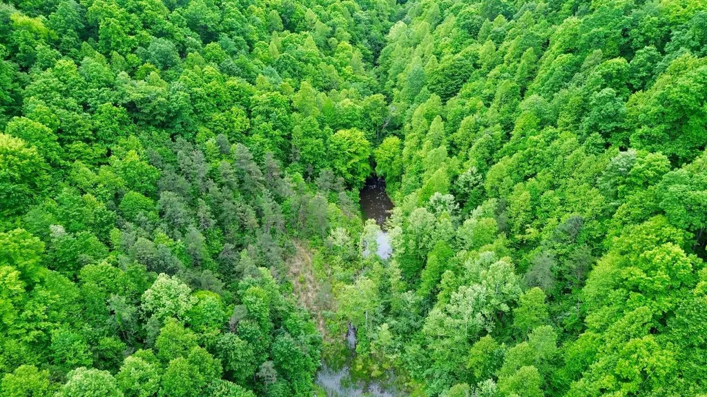379A Highway 1690 Louisa KY 41230