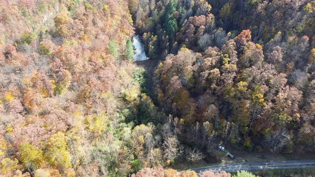 379A Highway 1690 Louisa KY 41230