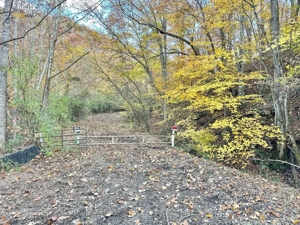 379A Highway 1690 Louisa KY 41230