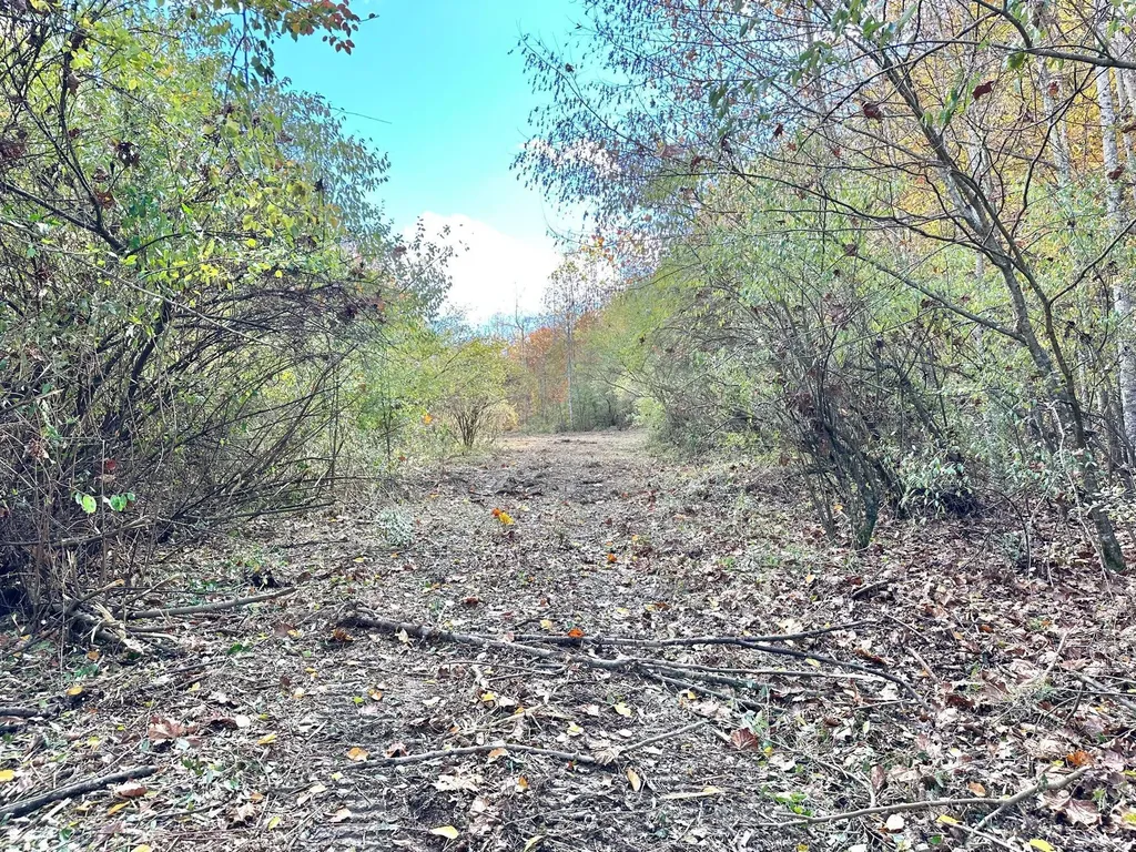379A Highway 1690 Louisa KY 41230
