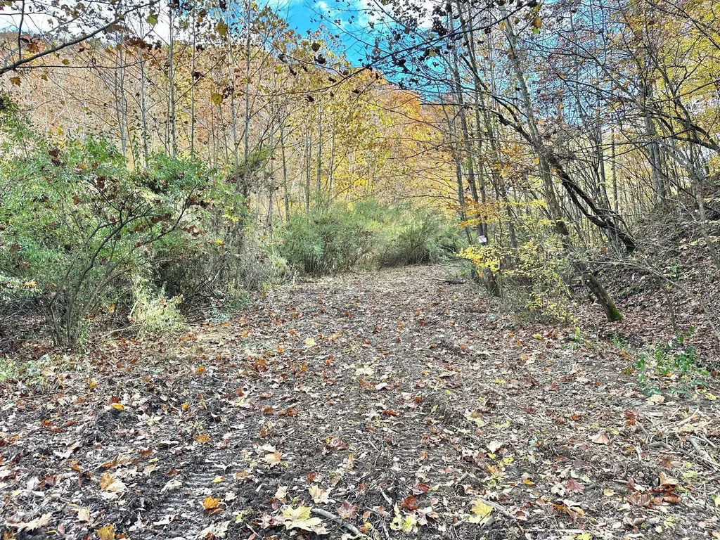 379A Highway 1690 Louisa KY 41230