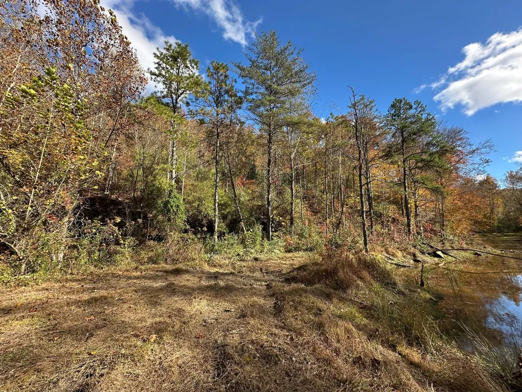 379A Highway 1690 Louisa KY 41230