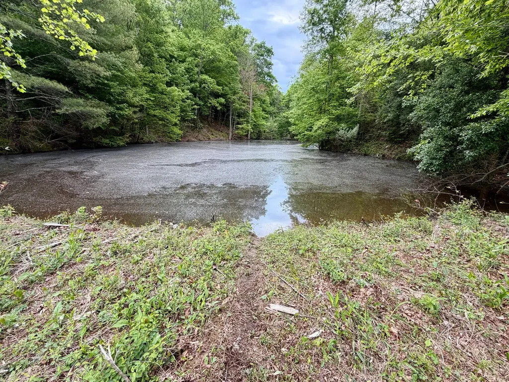 379A Highway 1690 Louisa KY 41230