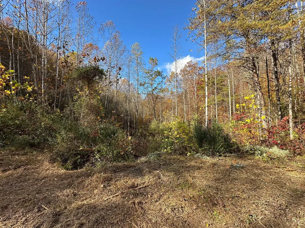 379A Highway 1690 Louisa KY 41230