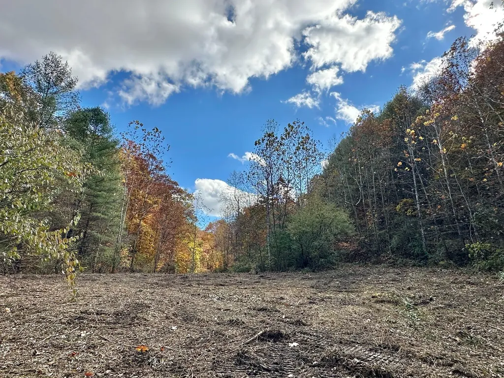 379A Highway 1690 Louisa KY 41230