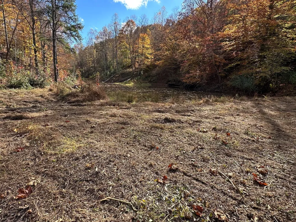 379A Highway 1690 Louisa KY 41230