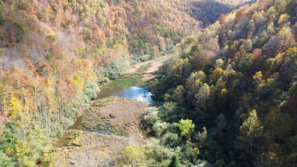 379A Highway 1690 Louisa KY 41230