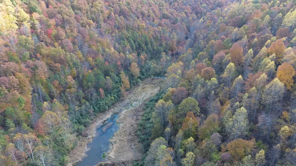 379A Highway 1690 Louisa KY 41230