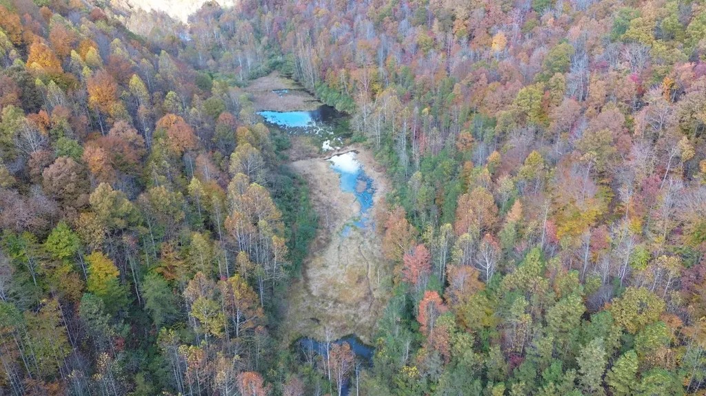 379A Highway 1690 Louisa KY 41230