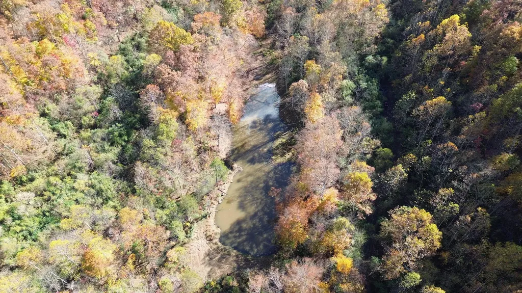 379A Highway 1690 Louisa KY 41230