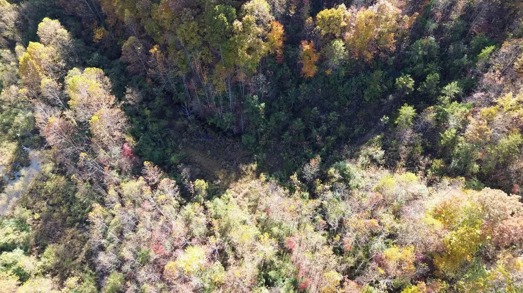379A Highway 1690 Louisa KY 41230