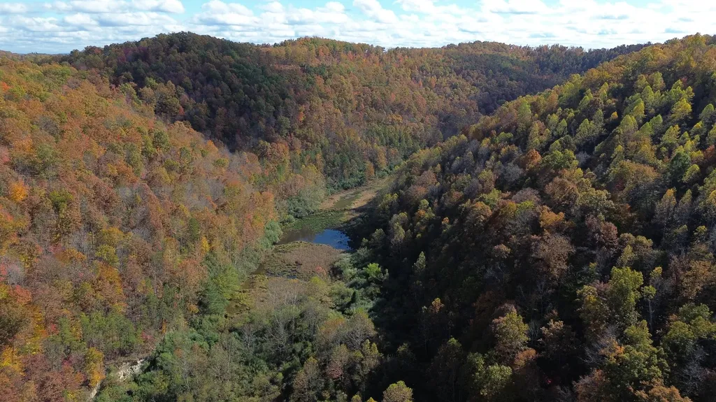 379A Highway 1690 Louisa KY 41230