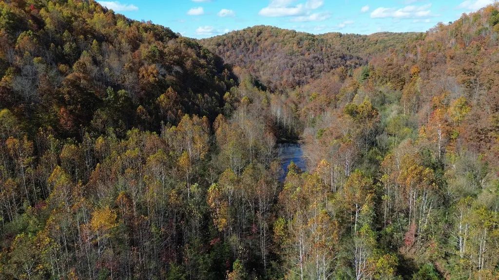 379A Highway 1690 Louisa KY 41230