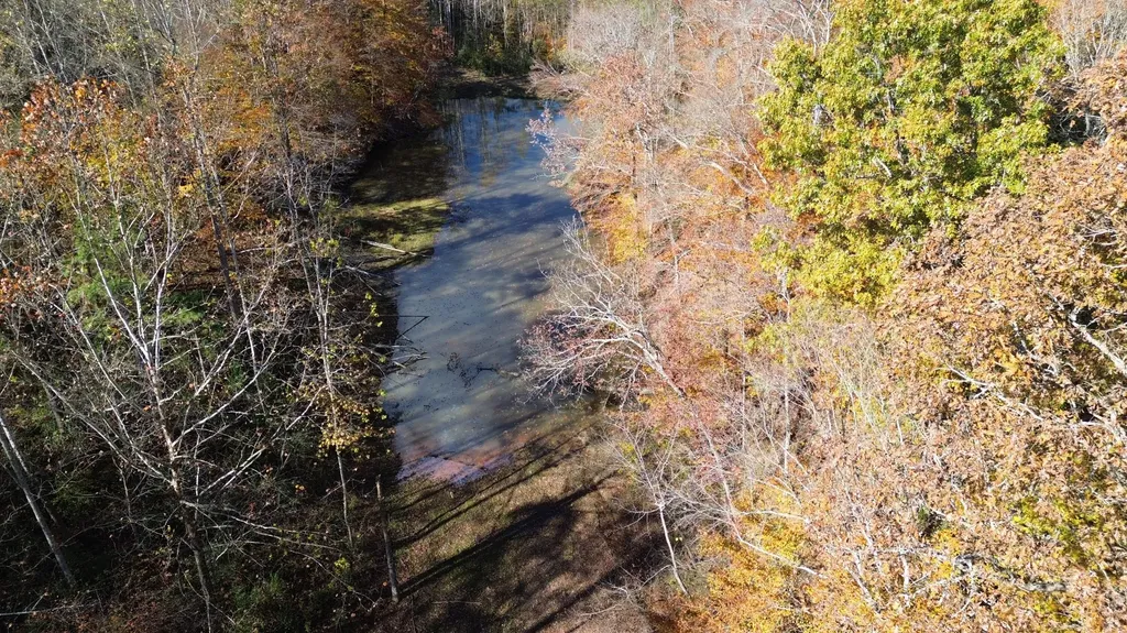 379A Highway 1690 Louisa KY 41230