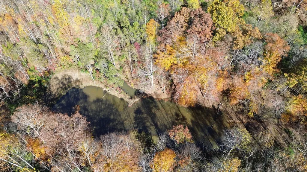 379A Highway 1690 Louisa KY 41230