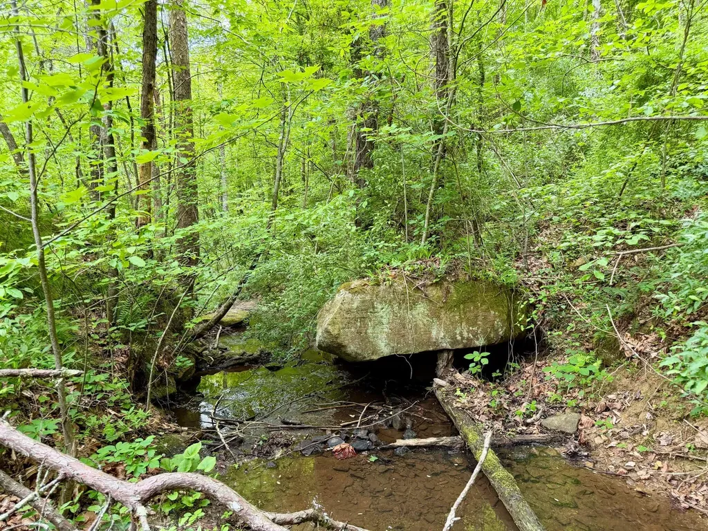379A Highway 1690 Louisa KY 41230