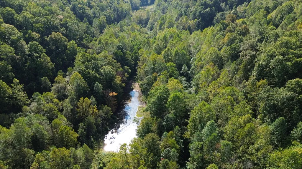 379A Highway 1690 Louisa KY 41230