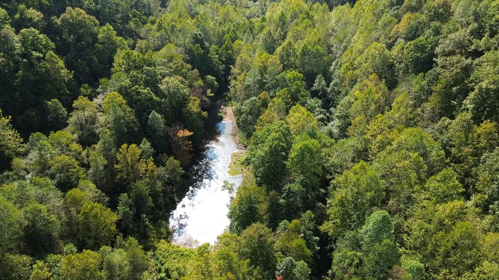 379A Highway 1690 Louisa KY 41230