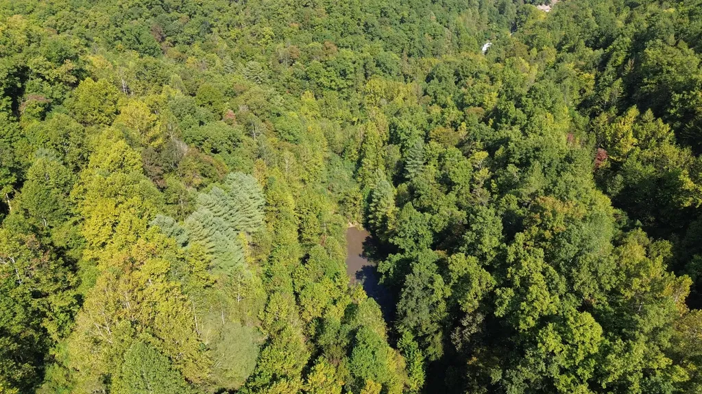 379A Highway 1690 Louisa KY 41230