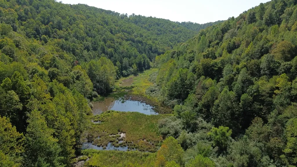 379A Highway 1690 Louisa KY 41230