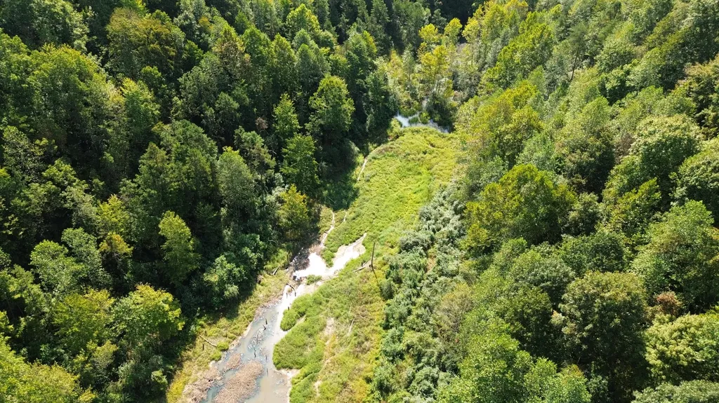379A Highway 1690 Louisa KY 41230