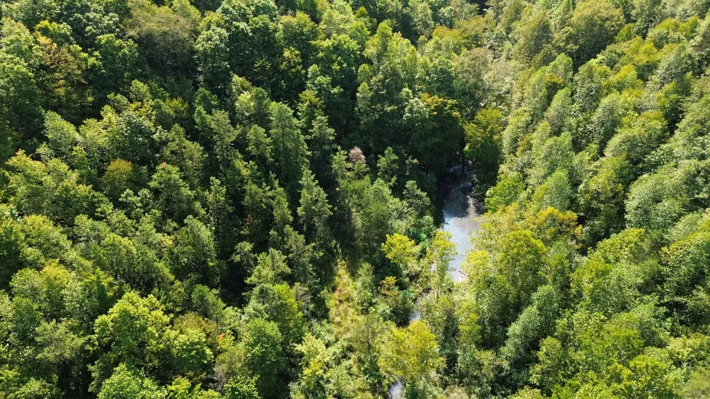379A Highway 1690 Louisa KY 41230