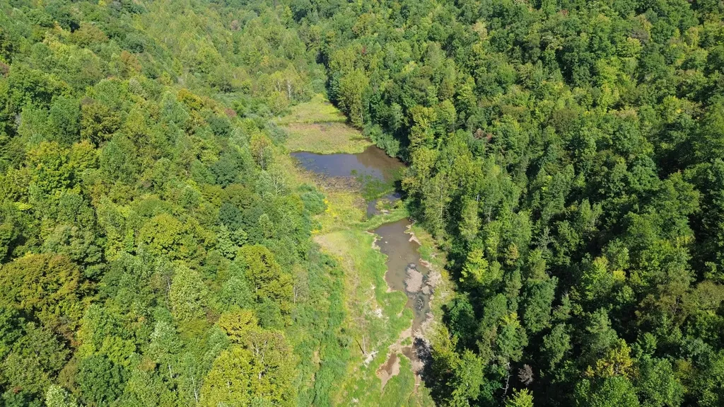 379A Highway 1690 Louisa KY 41230