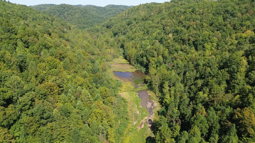 379A Highway 1690 Louisa KY 41230