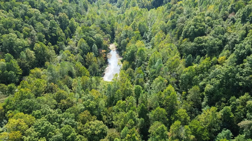 379A Highway 1690 Louisa KY 41230
