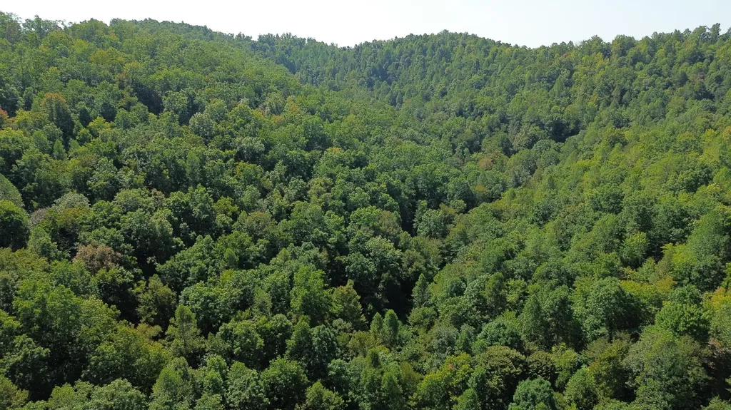 379A Highway 1690 Louisa KY 41230