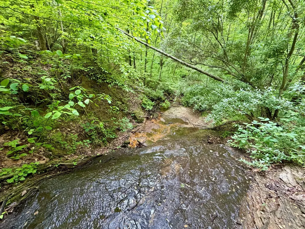 379A Highway 1690 Louisa KY 41230