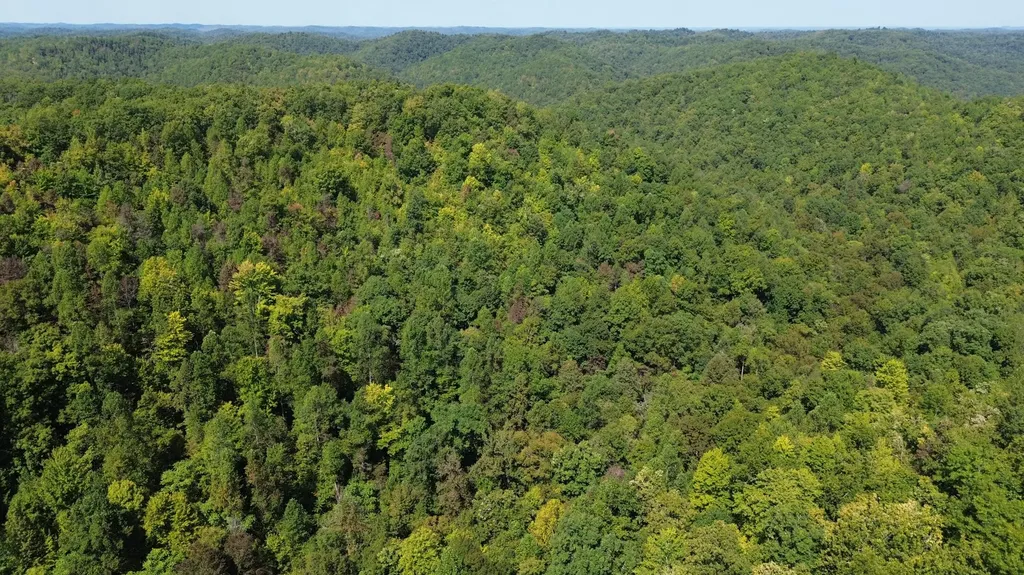 379A Highway 1690 Louisa KY 41230