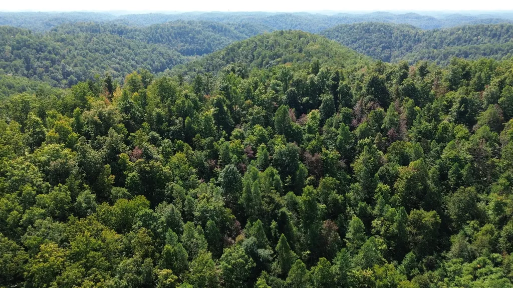 379A Highway 1690 Louisa KY 41230