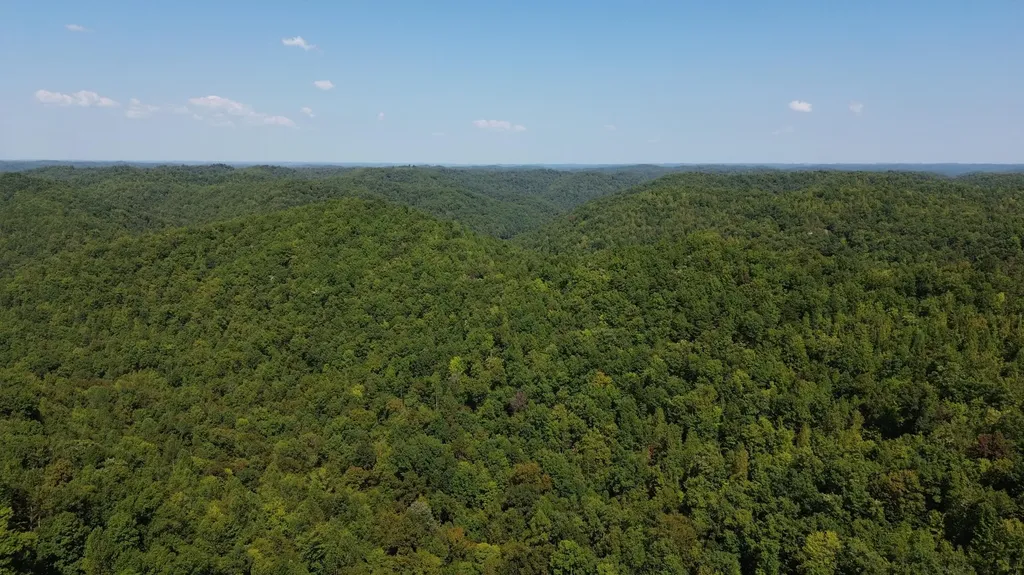 379A Highway 1690 Louisa KY 41230