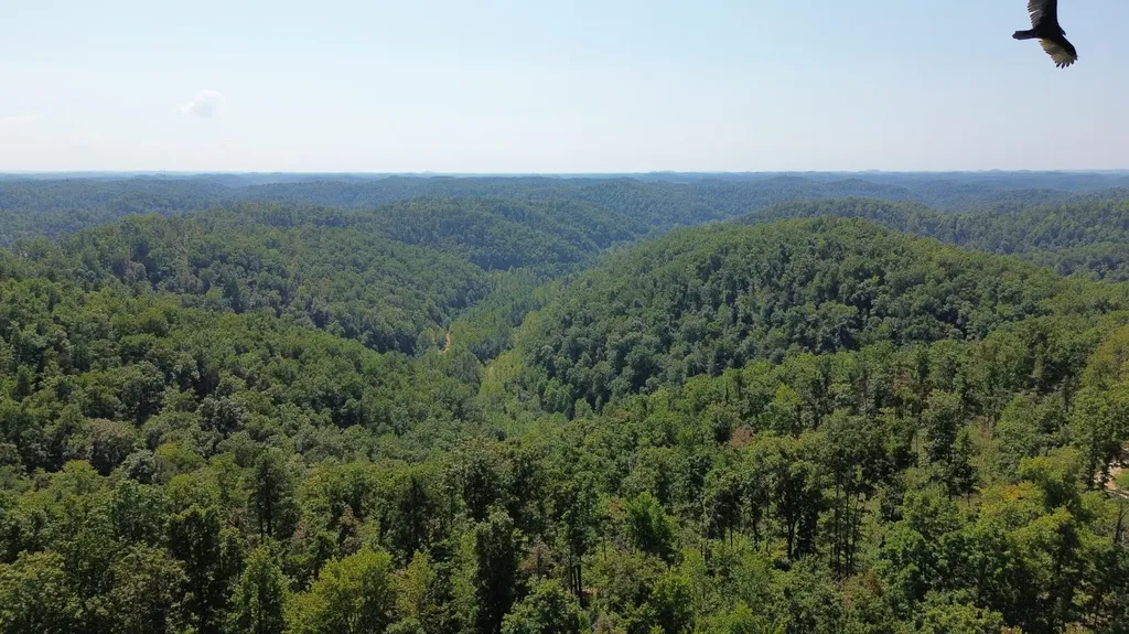 379A Highway 1690 Louisa KY 41230