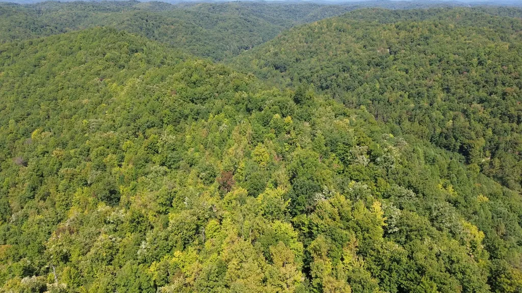 379A Highway 1690 Louisa KY 41230
