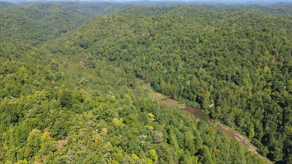 379A Highway 1690 Louisa KY 41230