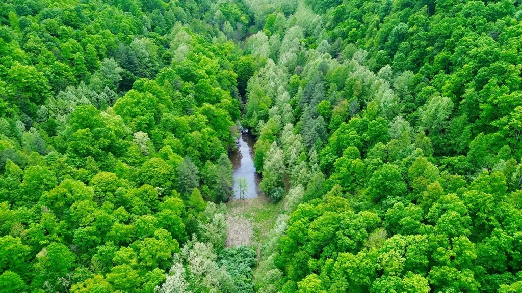 379A Highway 1690 Louisa KY 41230