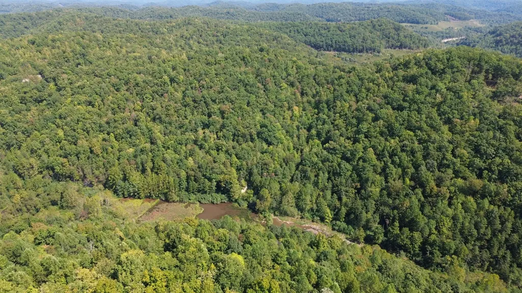 379A Highway 1690 Louisa KY 41230