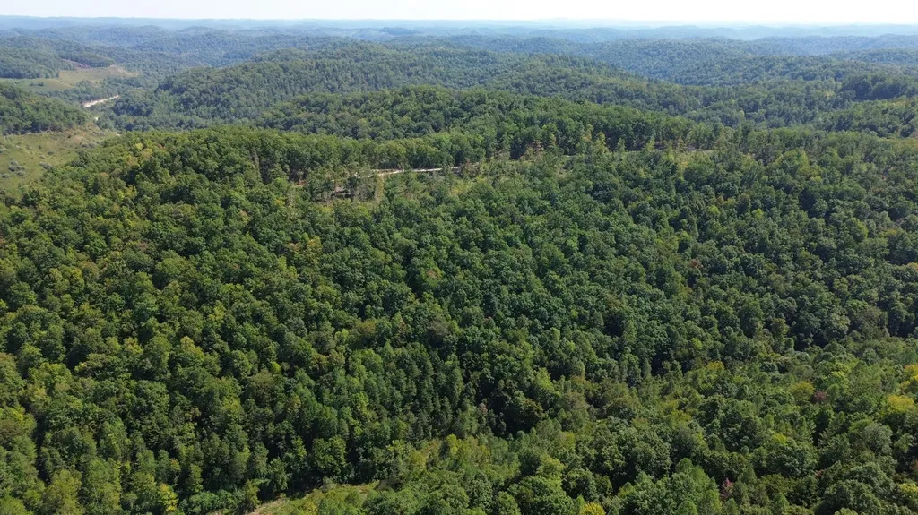 379A Highway 1690 Louisa KY 41230