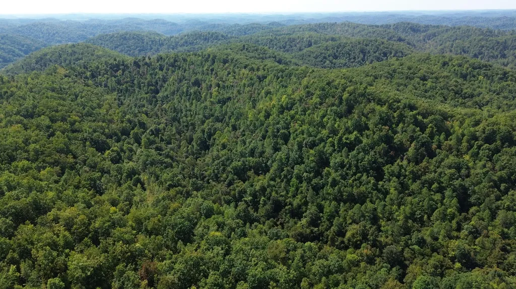 379A Highway 1690 Louisa KY 41230
