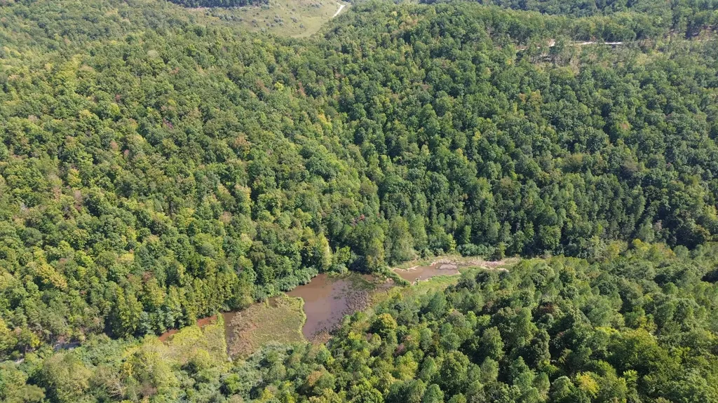 379A Highway 1690 Louisa KY 41230