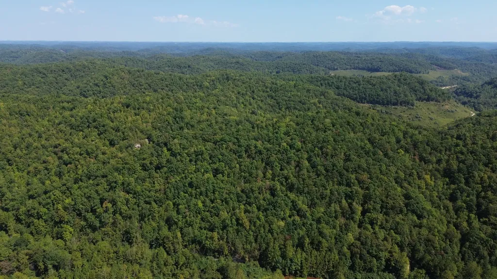 379A Highway 1690 Louisa KY 41230