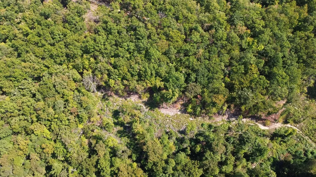379A Highway 1690 Louisa KY 41230