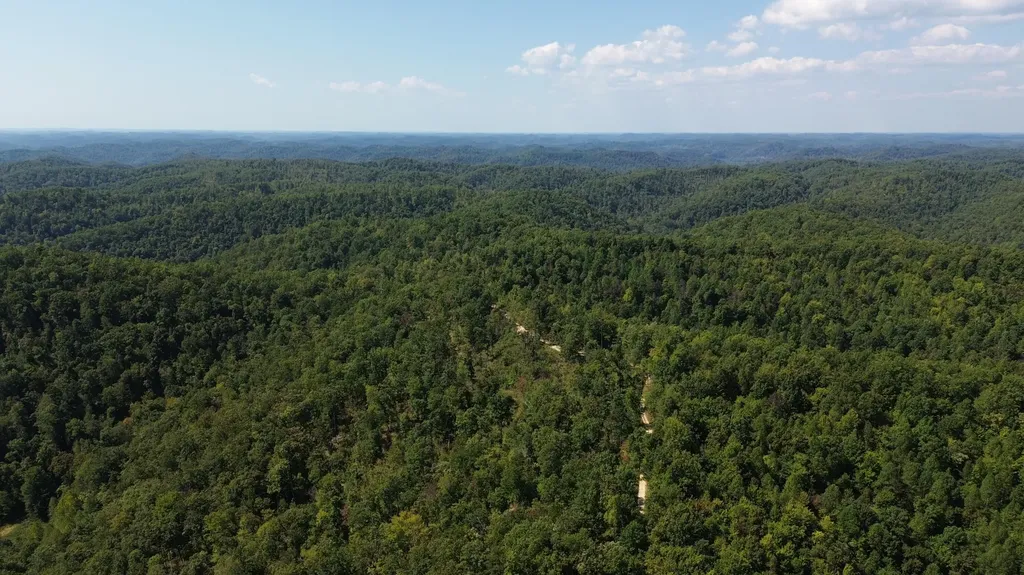 379A Highway 1690 Louisa KY 41230
