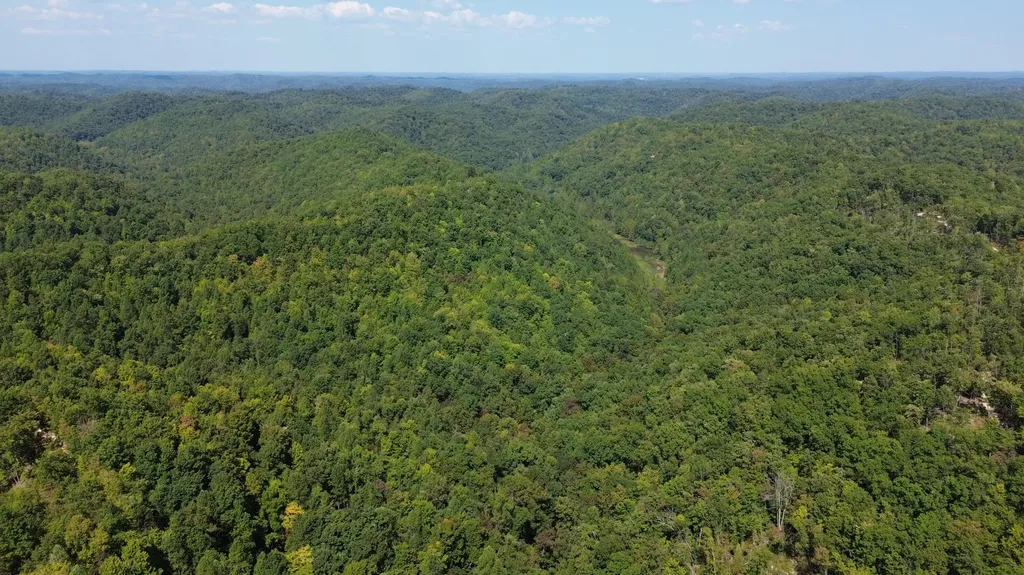 379A Highway 1690 Louisa KY 41230