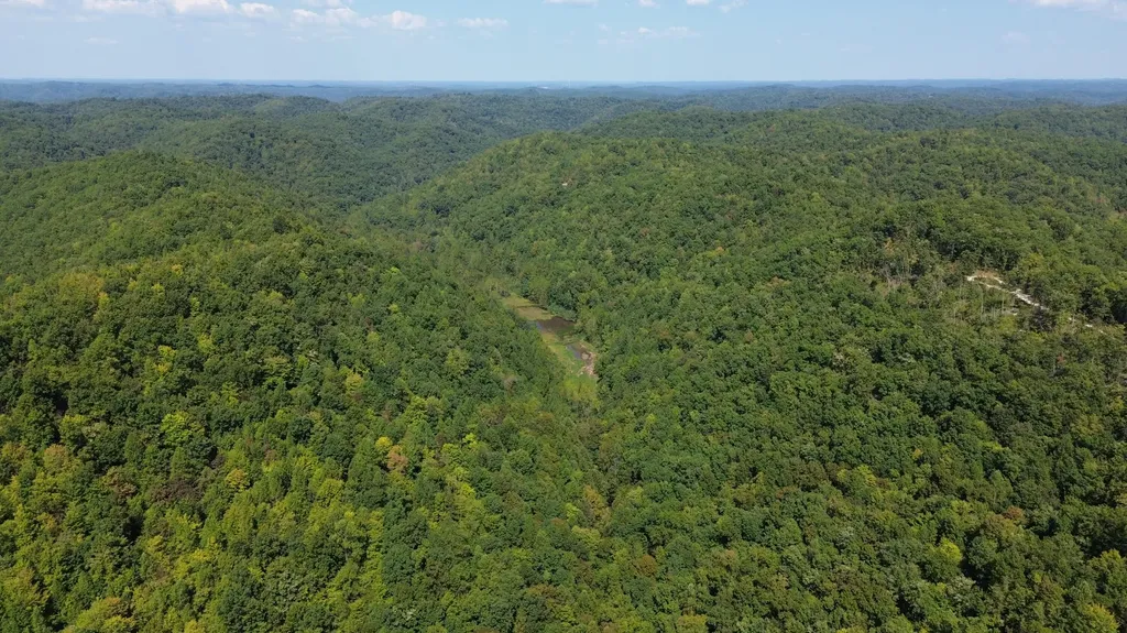 379A Highway 1690 Louisa KY 41230