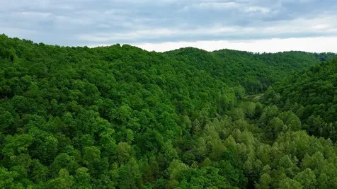 379A Highway 1690 Louisa KY 41230